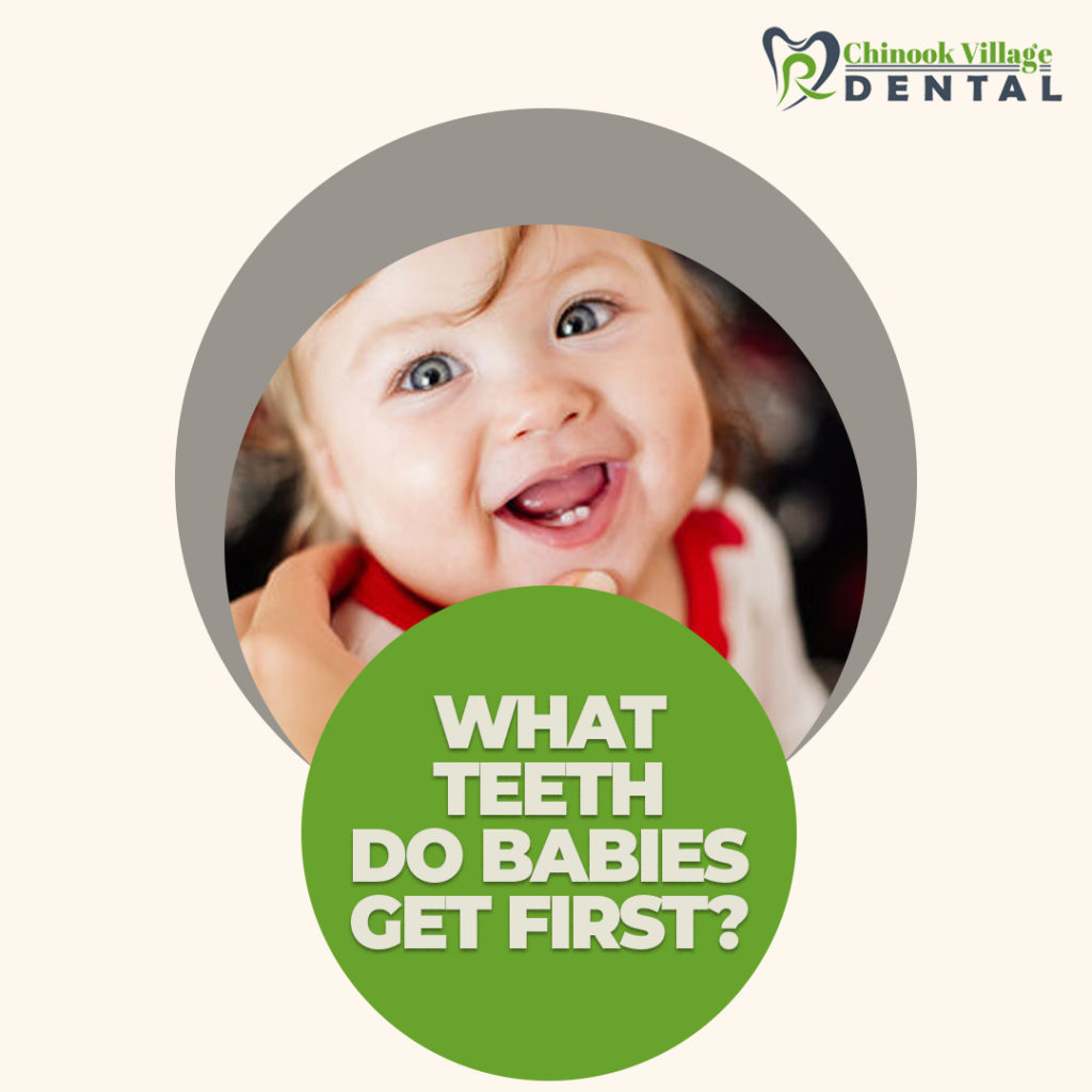 What teeth do babies get first?